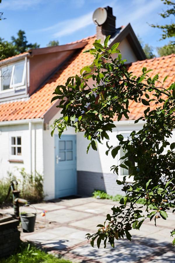 Cottage Duinroos - Dune Rose Oostvoorne Eksteriør bilde